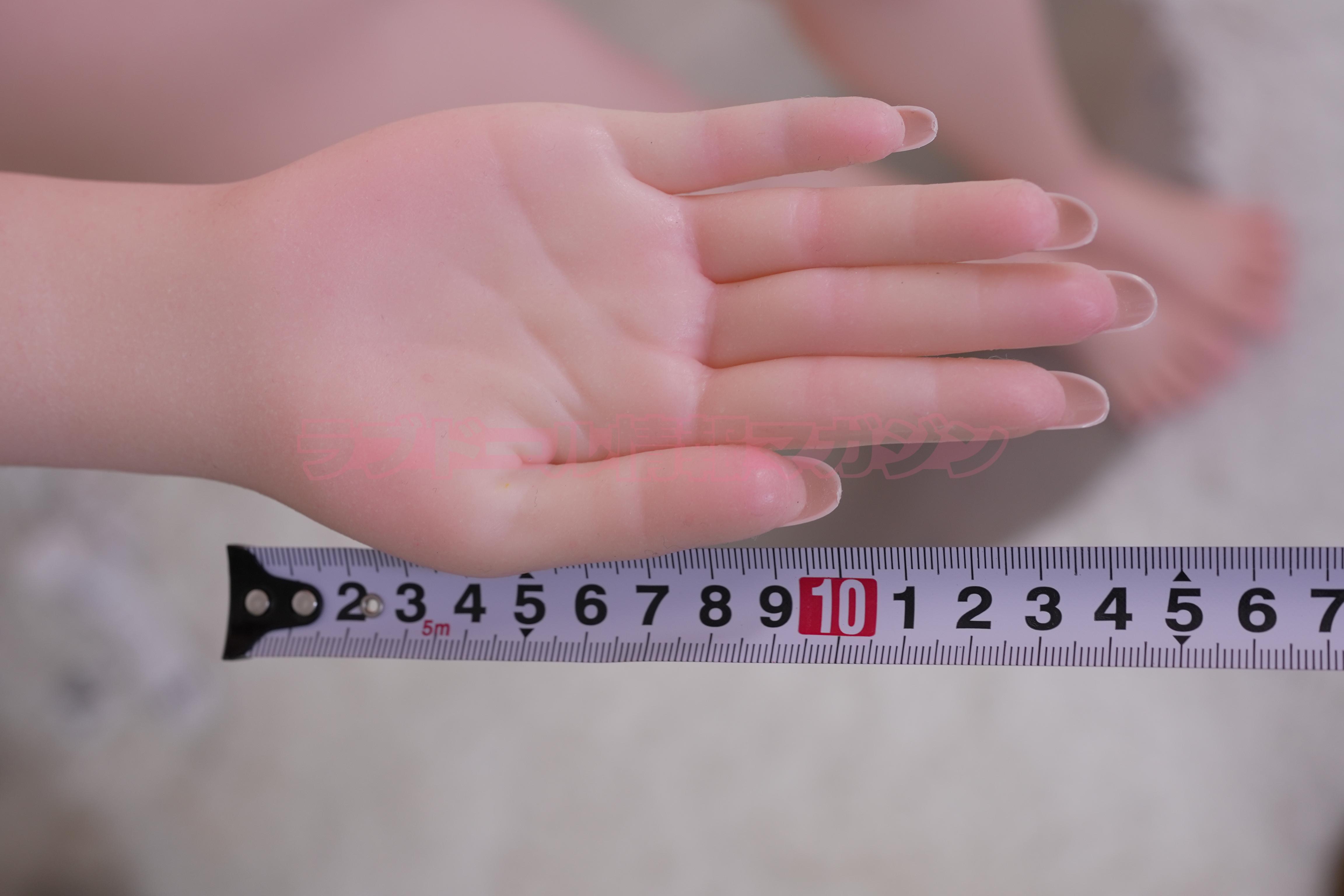 Close-up image of a lifelike silicone hand with a ruler measuring approximately 23 cm.