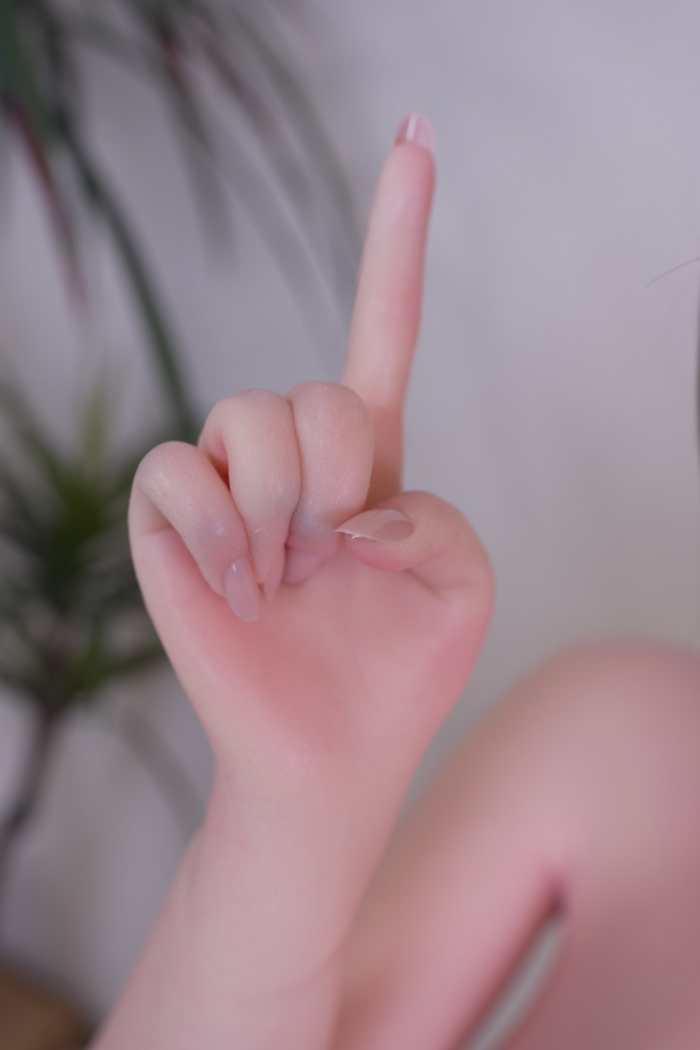 ?????????????????????????????????????